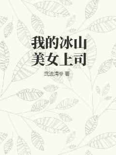 我的冰山女神上司小说